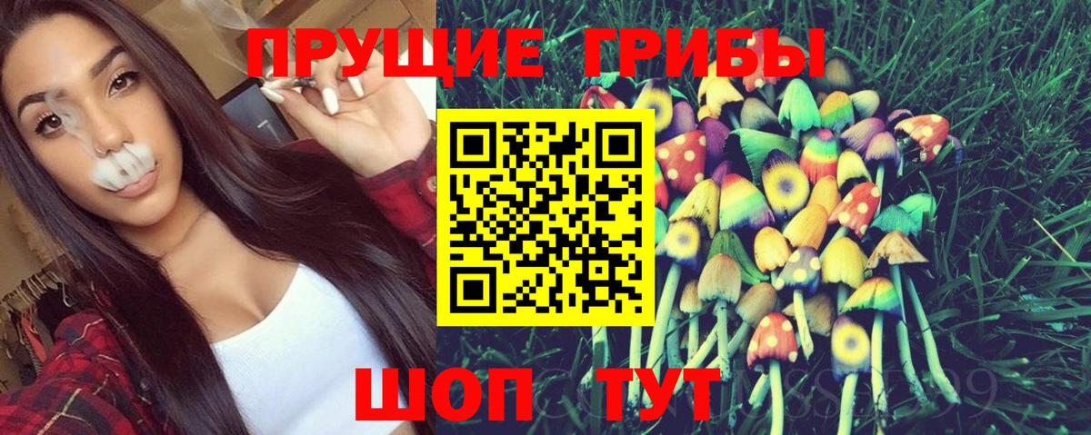 Галлюциногенные грибы Psilocybine cubensis Ревда
